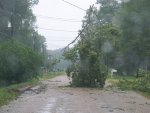 9-19-08 My street after Ike.jpg