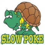 Slow Poke.jpg