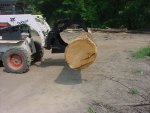 Stump Grapple w log.JPG