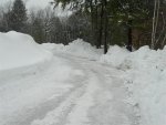 Driveway 1 (Medium).jpg